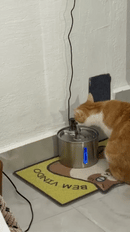 Fonte de Água Automática Pet em Aço Inox 3L com Filtro