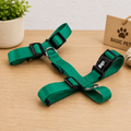 Peitoral Cachorro com Guia Regulável