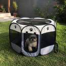 Casinha Dobrável Para Pets