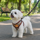 Peitoral Ajustável Para Pets