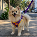 Peitoral Ajustável Para Pets