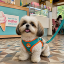 Peitoral Ajustável Para Pets