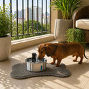 Bebedouro Inox Pet Inteligente
