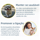Kit 10/6 Brinquedos Mordedores Cachorro Filhote Anti-stress Pet Ranger os dentes Limpeza da boca