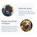 Kit 10/6 Brinquedos Mordedores Cachorro Filhote Anti-stress Pet Ranger os dentes Limpeza da boca