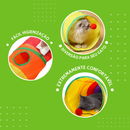 Tunel Brinquedo Labirinto Colorido Para Pets Dobrável - CH