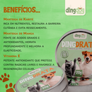 Hidratante de Focinho/Patinhas 100% Natural Cães e Gatos Ding Dog