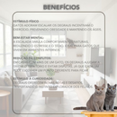 Parque Gato REFORÇADO 4pçs Prateleiras Com Carpete Antiderrapante Já Montado Playground Gato Parede