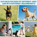 Kit 10/6 Brinquedos Mordedores Cachorro Filhote Anti-stress Pet Ranger os dentes Limpeza da boca