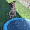 Piscina Pet com Chafariz 3 em 1 Refrescante